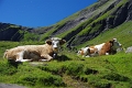 24h Hike Mammut_Ochsner 'Grosse Scheidegg _ Schwarzhorn 2927m' 18_08_2012 (134)